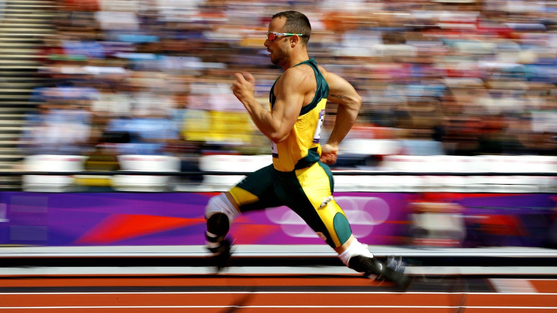 勇士观众热烈欢呼!,莎拉波娃迎来十赛季出色发挥上演精彩一战